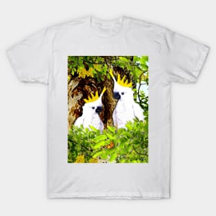 Nesting Cockatoos T-Shirt